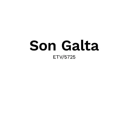 Son Galta Holiday home *